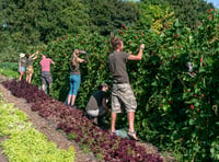 Experience farm life this autumn at The Community Farm