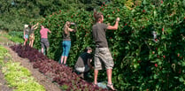 Experience farm life this autumn at The Community Farm