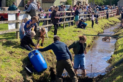 Compton Dando Village Fete provides entertainment for all