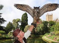 Beautiful birds to entertain visitors at The Bishop’s Palace 