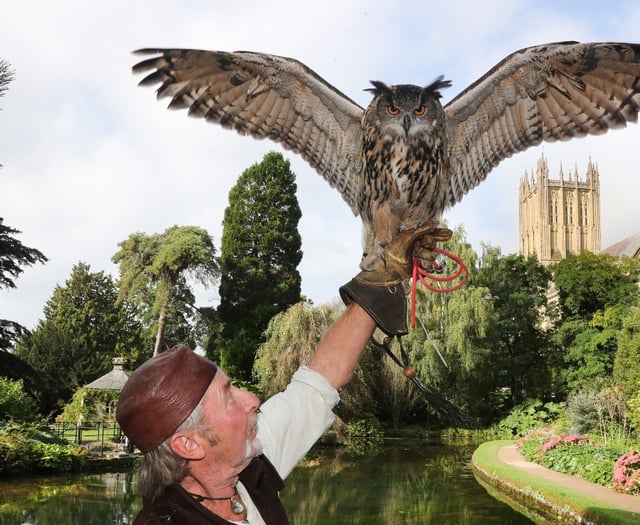 Beautiful birds to entertain visitors at The Bishop’s Palace 