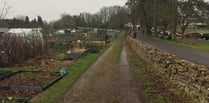 Notice served on Bath allotment holders following landlord decision