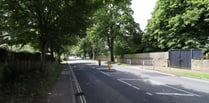 Temporary signals on A36 Warminster Road for new zebra crossing works