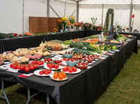 Sun shines on 135th Writhlington Flower Show and Fete