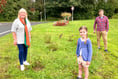 Peasedown planting project success thanks to B&NES funding