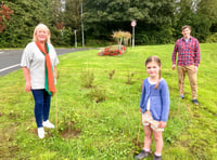 Peasedown planting project success thanks to B&NES funding