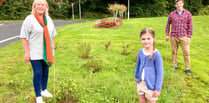 Peasedown planting project success thanks to B&NES funding