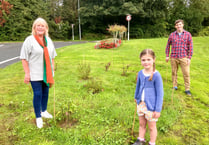 Peasedown planting project success thanks to B&NES funding