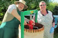 People invited to press and juice fruit at Big Family Apple Day