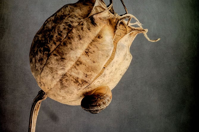 Graham Nicholls won with his image "Nigella and Friend.