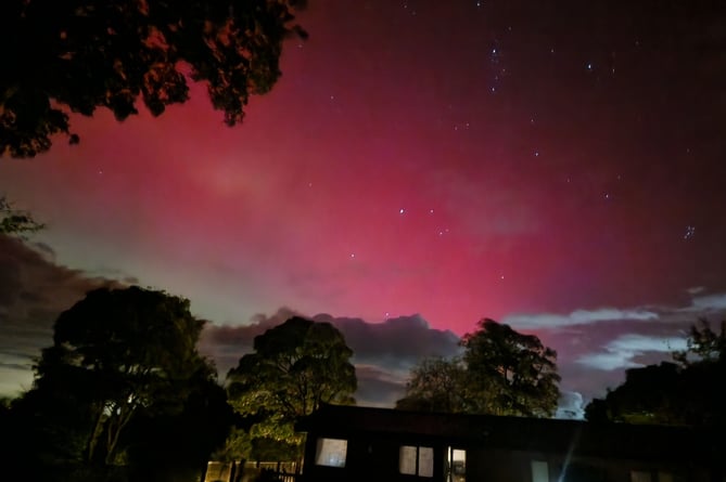 The aurora seen from Warren Bay (Photo: Susan Lynch)