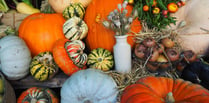 National Trust estates hosting 'spooky' Halloween events at half term