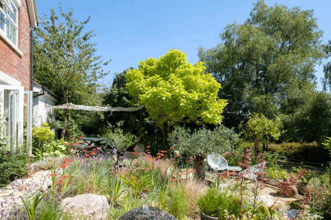 Rear garden