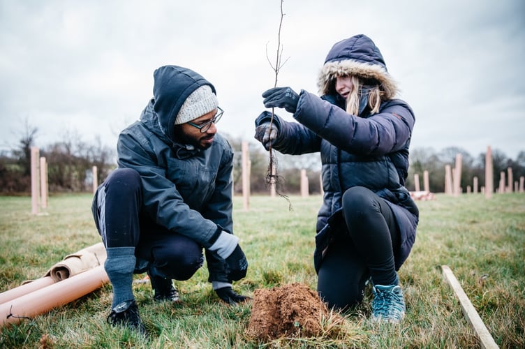 Volunteers planting saplings