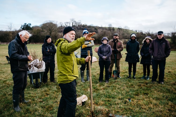 The Avon Plants Trees project