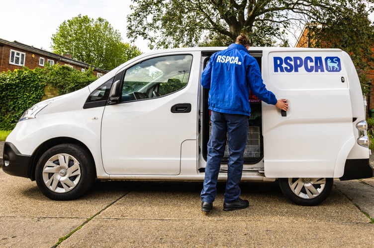 Grzegoraz Syovester Zareba, of Sunnybank Court, Portway, Frome, and Anna Bitner, of Coronation Road, Frome, both pleaded guilty to animal welfare offences, following an investigation and prosecution by the RSPCA.

