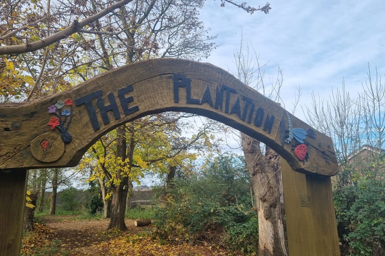 The coppice of trees known as 'The Plantation' which is enjoyed by the community has brought together a range of local people who share a passion to care for the land and wildlife that lives there.