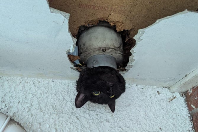 Hapless female cat John was found with her head poking through one end of a drainpipe in a garage in Clevedon, North Somerset. Release date November 24 2024. This is the heart-warming moment an adorable cat was rescued by firefighters after it got stuck in a drainpipe.  The female cat, called John, was found with her head poking through one end of a drainpipe in a garage in Clevedon, North Somerset, on Saturday (23/11). Firefighters were called just before 10am and used ladders to reach John - before cutting her free with small tools. 