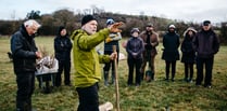 Charity funding appeal for vast new forest of 1,000 trees 