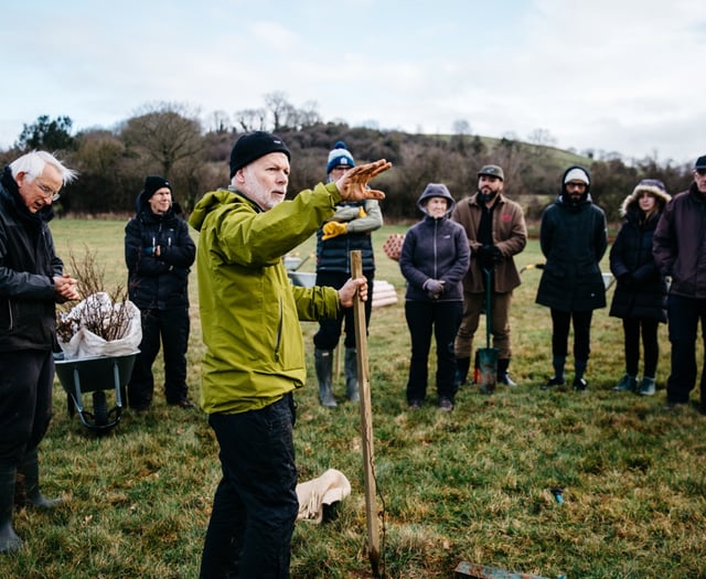 Charity funding appeal for vast new forest of 1,000 trees 