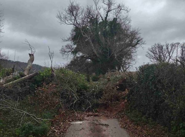 Nettlecombe Park Road (Photo: Somerset Council)