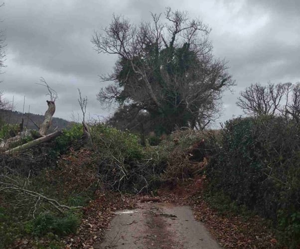 Nettlecombe Park Road (Photo: Somerset Council)