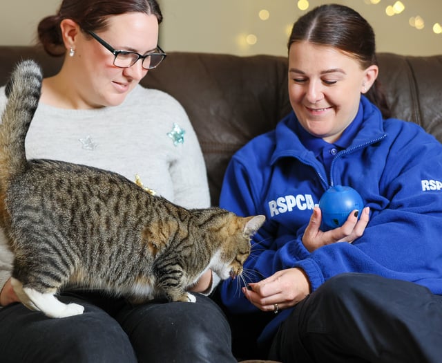 RSPCA record huge surge in number of pets left abandoned at Christmas