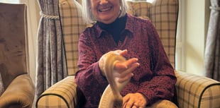 Care home plays host to range of snakes and spiders and other animals