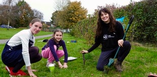 Avon Wildlife Trust hosts nature celebration at The Hive