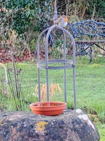 A Robin on an obelisk